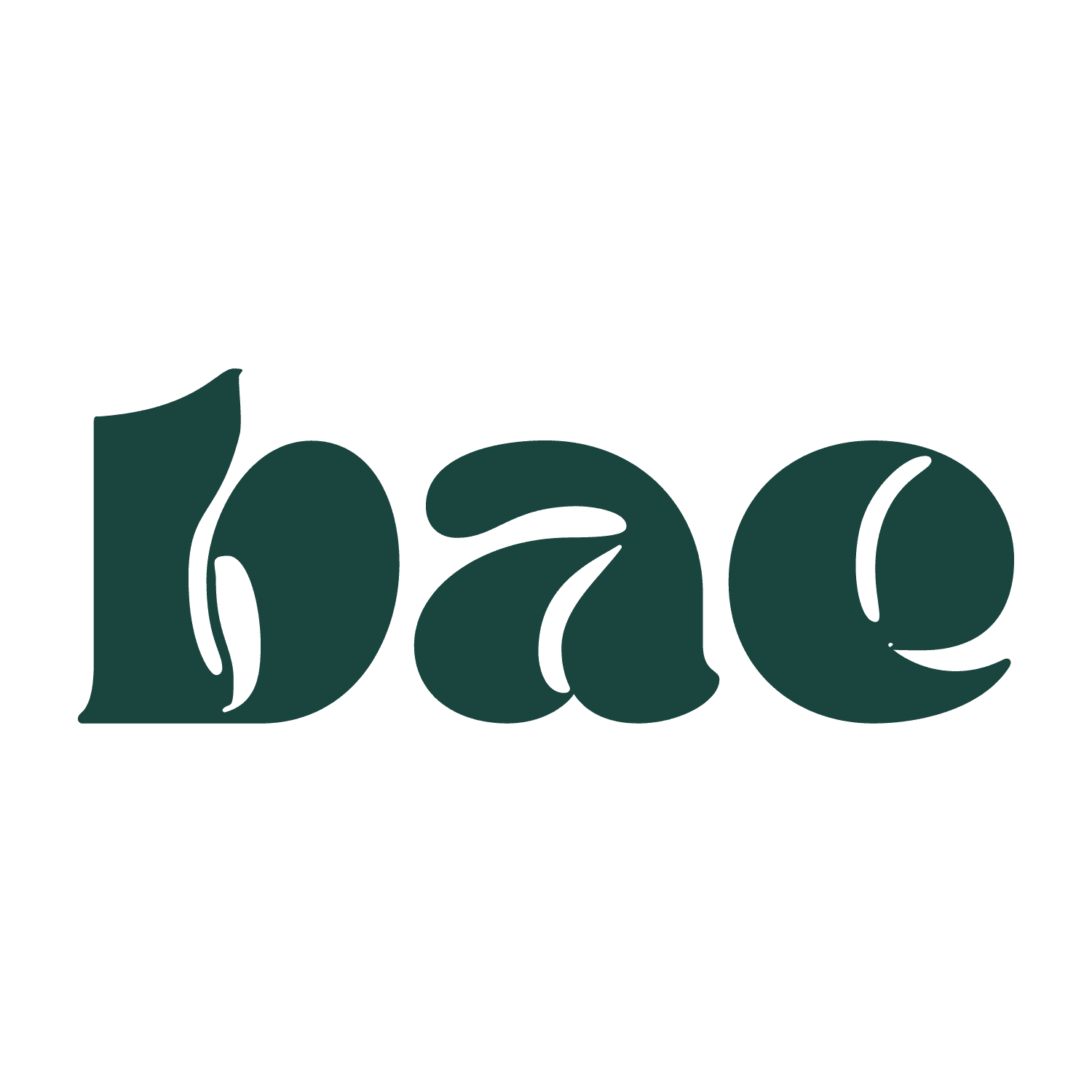 bae society