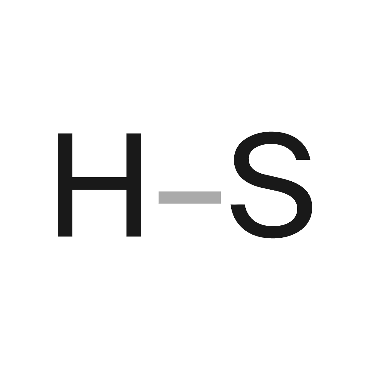 Hutter Studio