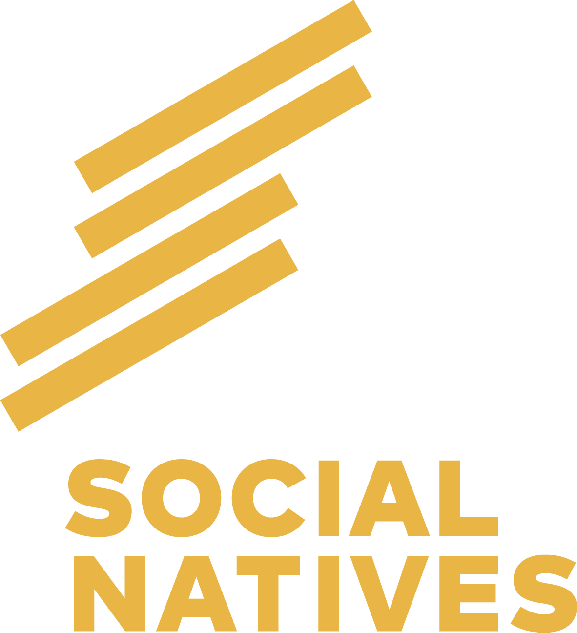 SocialNatives GmbH